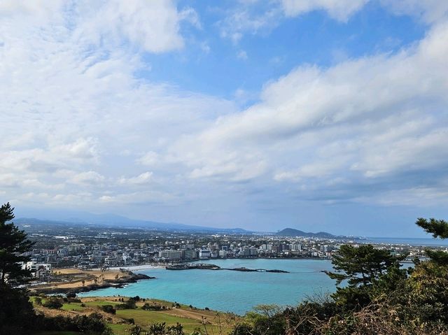 제주도 떠나고 싶게 만드는 제주 겨울 바다 