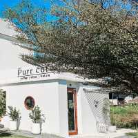  Purrcafebkk「แจ้งวัฒนะ 14 」 