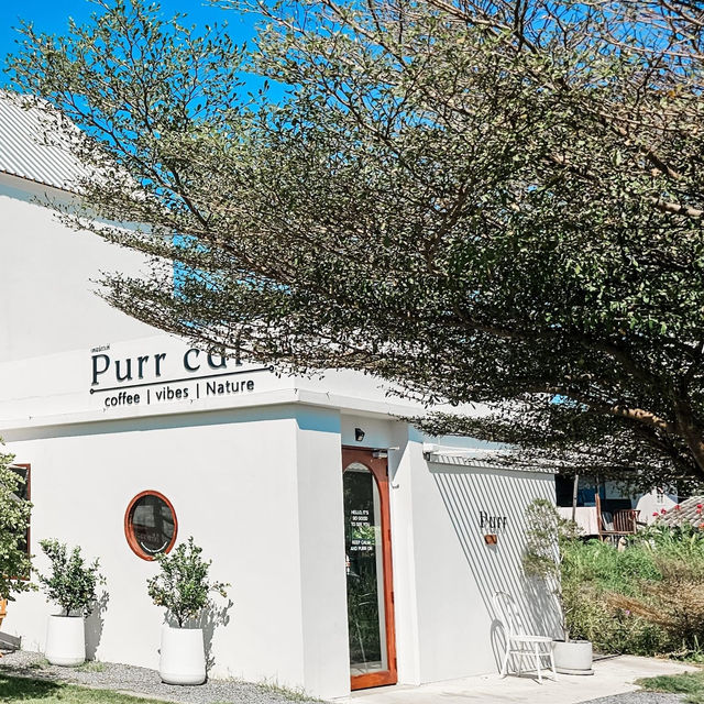  Purrcafebkk「แจ้งวัฒนะ 14 」 