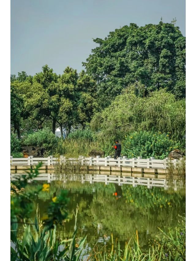 水墨園：廣州的古典園林與藝術綠洲🎨