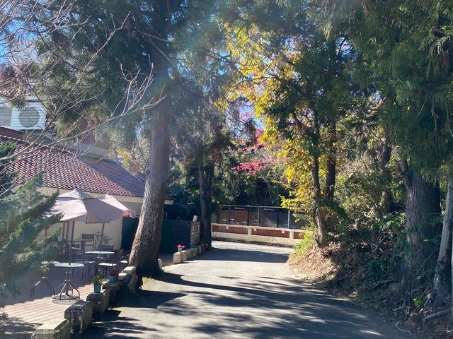 清境小瑞士花園-美麗花園