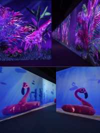 ARTE M ดิจิตัลอาร์ตดังจากเกาหลี เปิดที่ฮ่องกงแล้ว