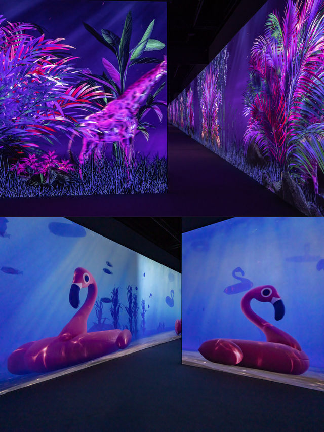 ARTE M ดิจิตัลอาร์ตดังจากเกาหลี เปิดที่ฮ่องกงแล้ว