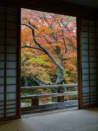 京都景點｜嵐山精緻的賞楓名所——寶筐院
