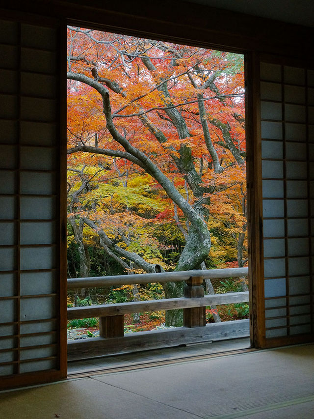 京都景點｜嵐山精緻的賞楓名所——寶筐院
