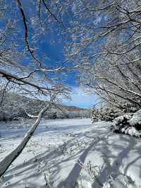 Shiretoko National Park in winter