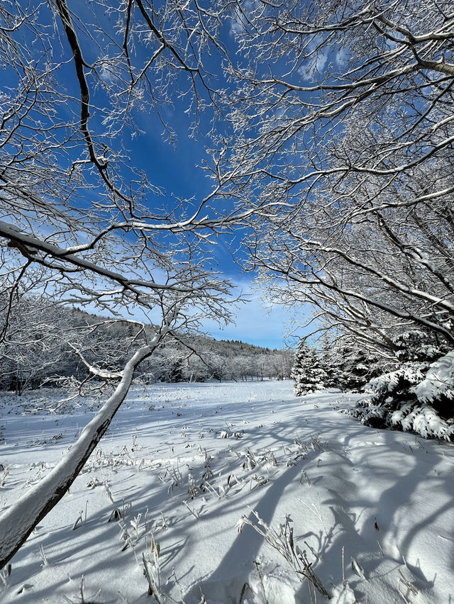 Shiretoko National Park in winter