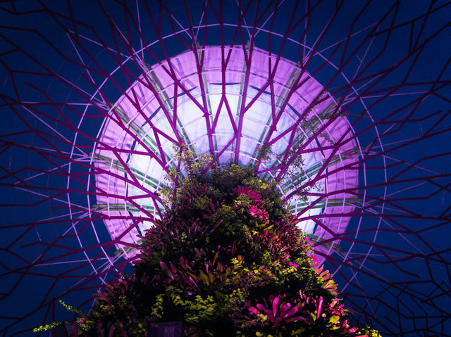 Garden by the Bay's magical night