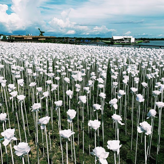 10000 Roses Cafe + Sto Nino Church