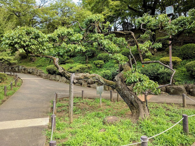Okurayama Park