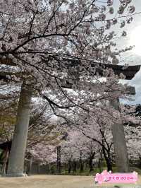 アニメでも有名になった神社