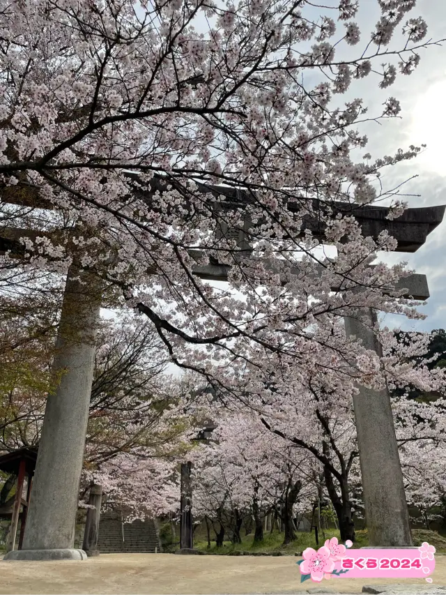 アニメでも有名になった神社