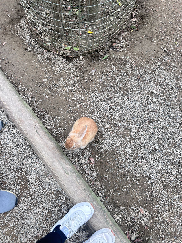 ［新竹/北埔］綠世界生態農場🦩｜超多動物可以近距離觀察 連植物都很多樣
