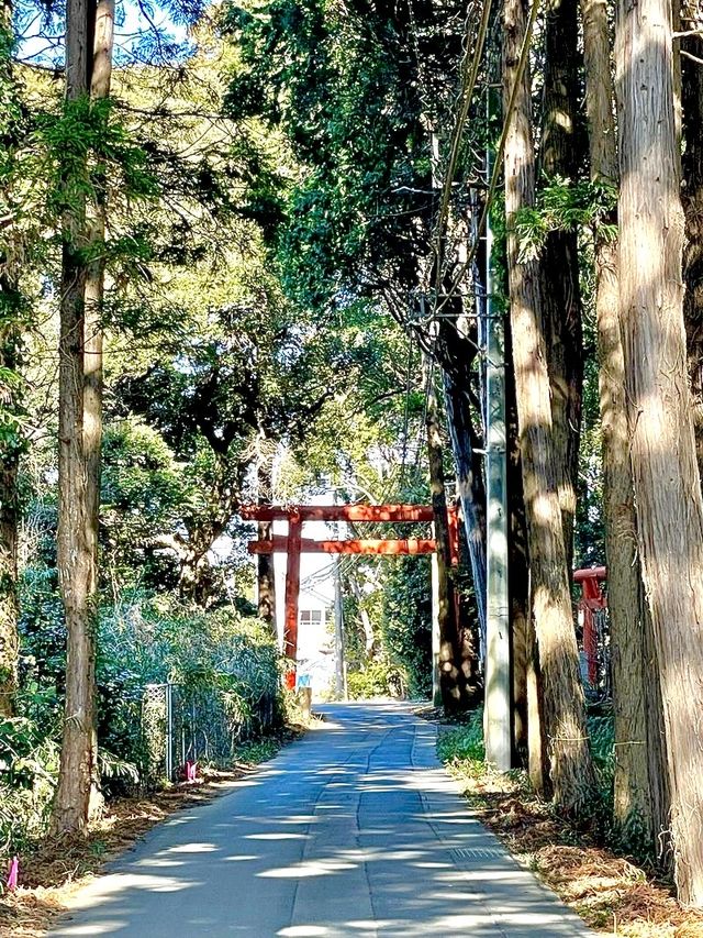 【鹿島神宮北の一之鳥居と戸隠神社/茨城県】神戸森に佇む朱塗りの鳥居