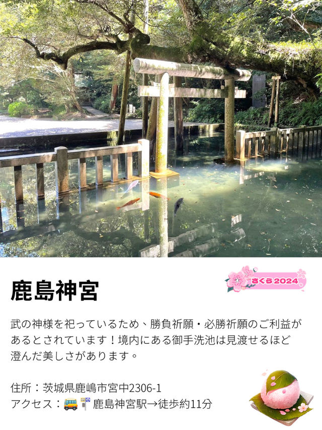 【鹿島神宮/茨城県】約600社の総本社と武の神様