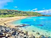 Waimea Bay Beach Park