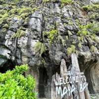 Discover the Magic of Maya Bay Beach