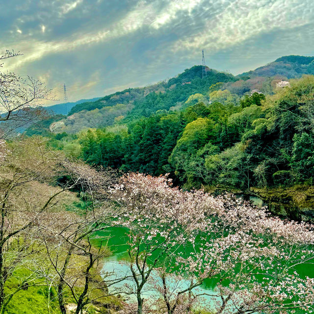 桜淵公園