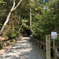 【世界遺産】春日山原始林　〜春日山遊歩道