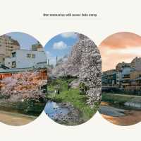 石屋川公園：追尋櫻花美景的絕佳去處