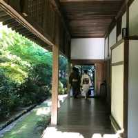 「東禪寺：古樸高雅的禪境風情，賞心悅目的視覺美學」