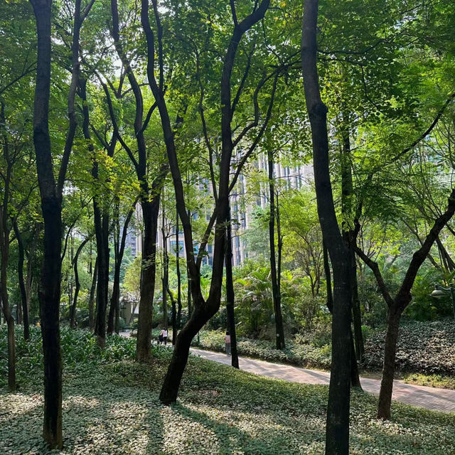 澳門花城公園：花海中的寧靜與美麗 🌺🌳