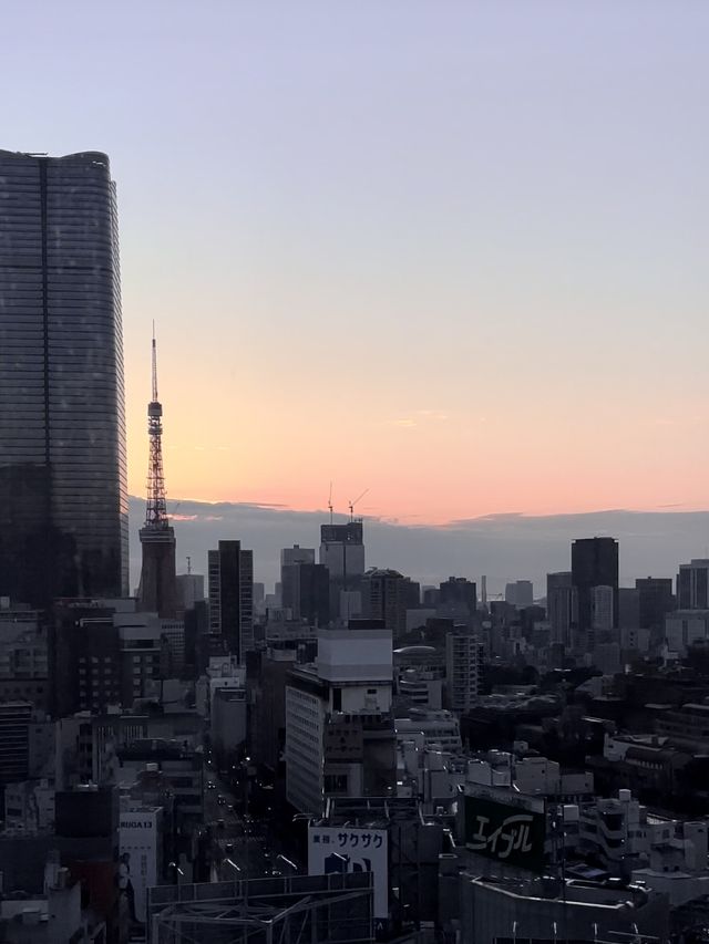 🇯🇵 10만원대 도쿄타워뷰 호텔 추천🌟
