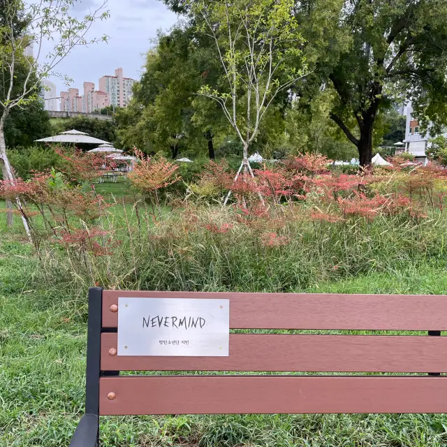 Leisure Time at Hangang Park, Seoul.