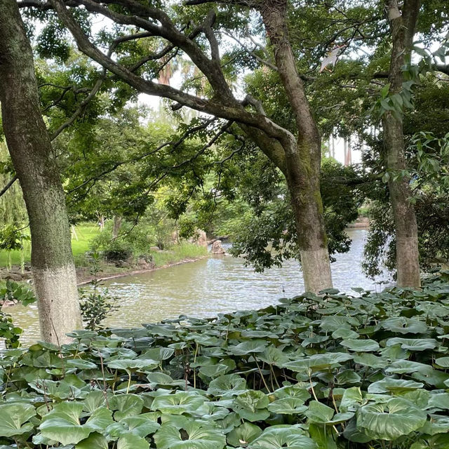 上海辰山植物園：綠意盎然