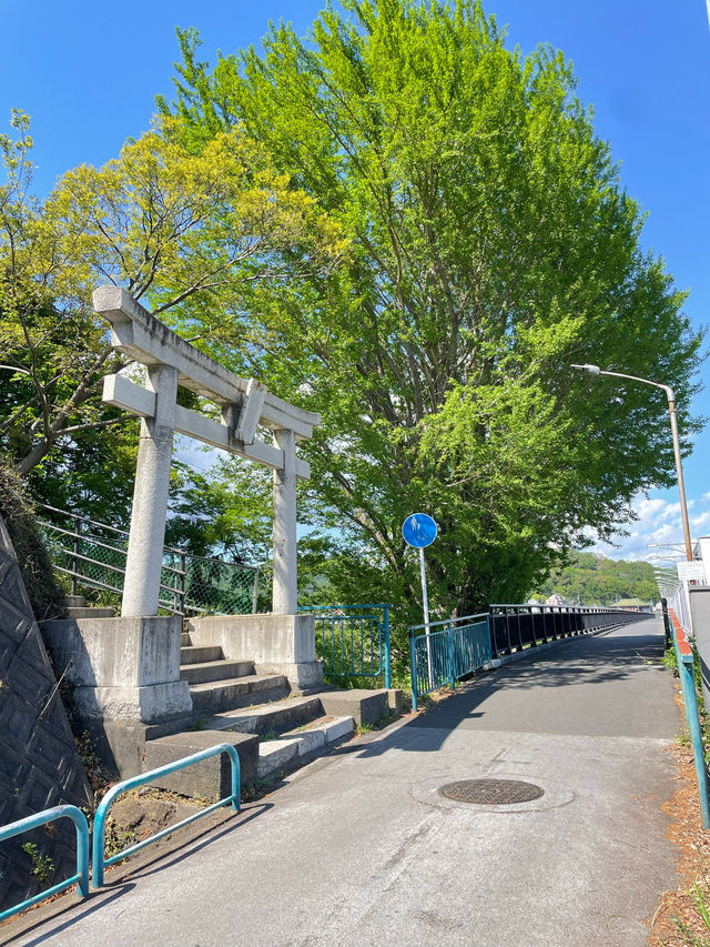 【女浅間神社/栃木県】渡良瀬川の眺めが良い神社
