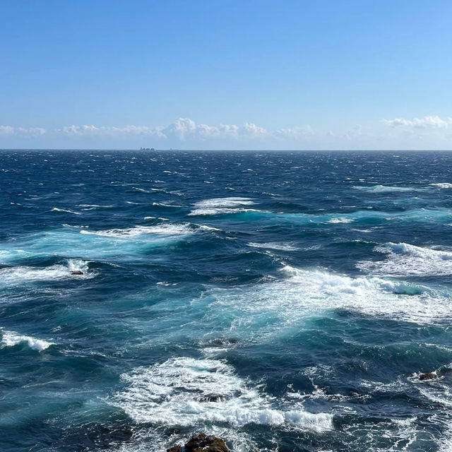 大洗海岸：原始海灘，春天好去處