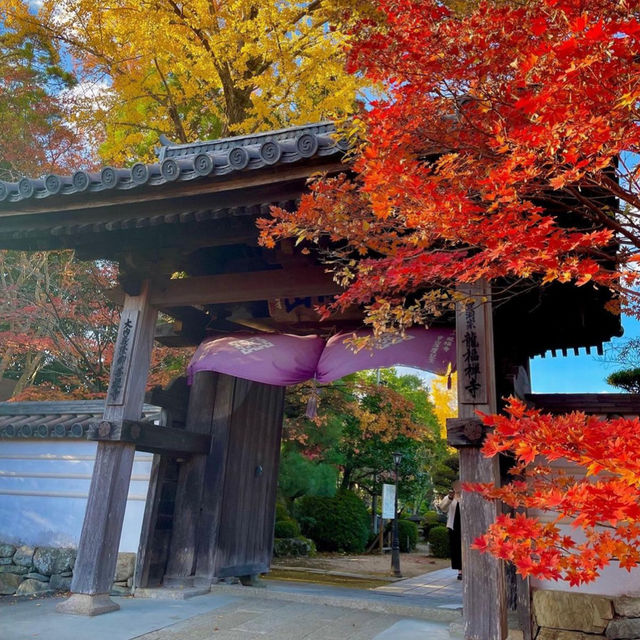 【山口観光】紅葉の季節はこちらがおすすめ