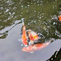 假日必去的其中一個香港後花園