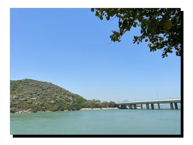 🌟 東涌海濱長廊：海風拂面，美景盡收眼底 🌊✨