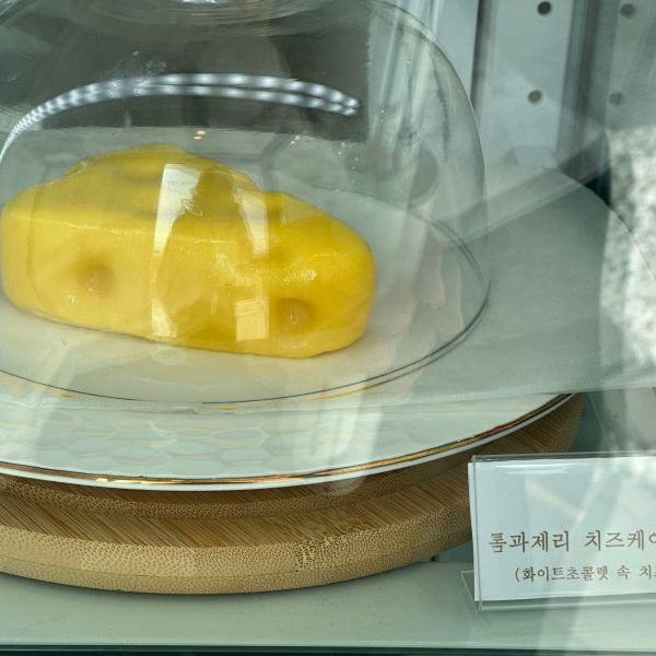 강화도 석모도 카페 맑은 분위기의 '카페인오아시스