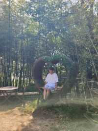 여수 치앙마이를 만나고 싶다면 바로 여기🌿