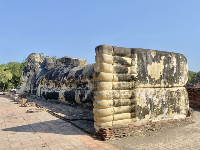 【タイ🇹🇭】壮大な歴史に触れるアユタヤ遺跡巡り✨