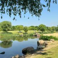 【2024】Lyon公園：湖心小島、繁花盛放，感受大自然之美