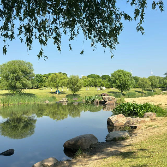 【2024】Lyon公園：湖心小島、繁花盛放，感受大自然之美