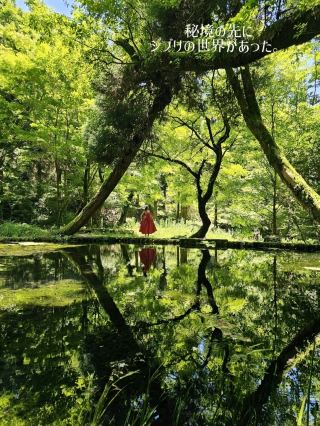 [Kumamoto/The World of Ghibli] A beautiful water source in a hidden area✨️