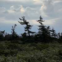 皿倉山～壯麗山景～此生難忘