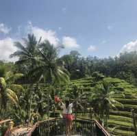 Bali's Emerald Staircase: Unveiling the Beauty of Tegalalang Rice Terraces