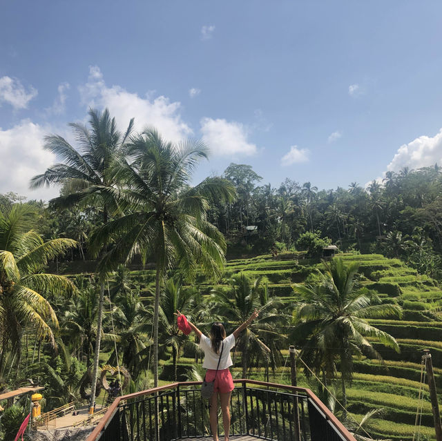 Bali's Emerald Staircase: Unveiling the Beauty of Tegalalang Rice Terraces