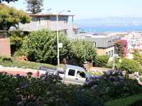 Crookedest Street in the World