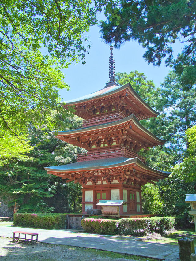 【静岡】期間限定‼️眼病平癒のご利益も✨ガラスと錫の風鈴の音色に癒される寺院を紹介🔍