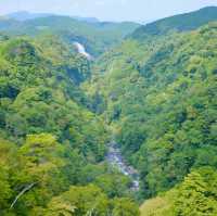 스릴을 만끽하자 173m 높이 아찔한 협곡 다리 - 코코노에 꿈의 대현수교 九重“夢”大吊橋