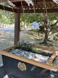 【福岡神社】花手水が美しい北九州の素敵な神社
