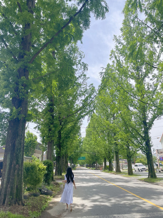 담양 발리 감성카페 소예르 꼭 가주세요💗💗💗