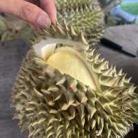 มาเที่ยวเมืองขุนหาญ