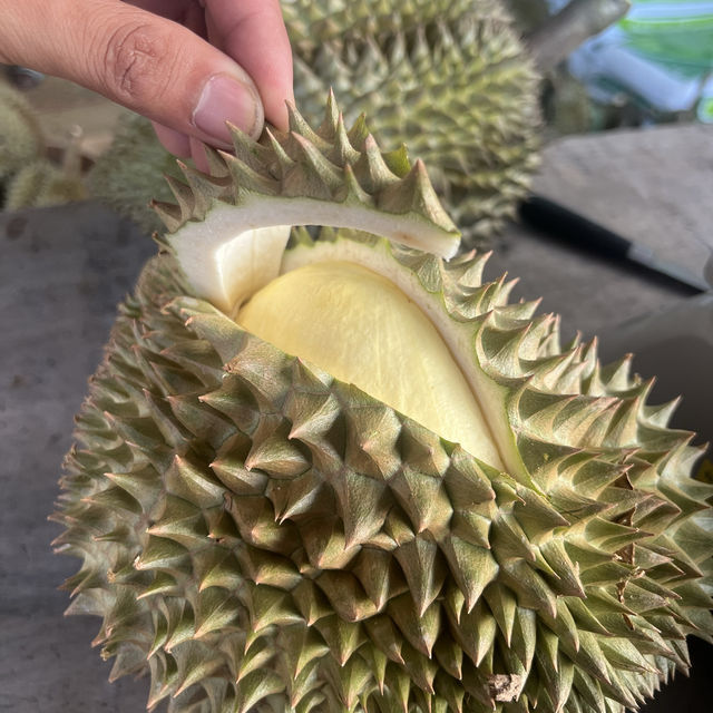 มาเที่ยวเมืองขุนหาญ